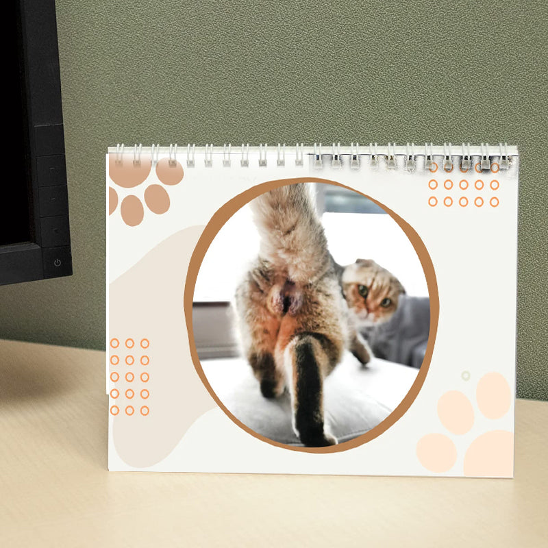 Funniest calendar of the century | Funny Cat Calendar 2024