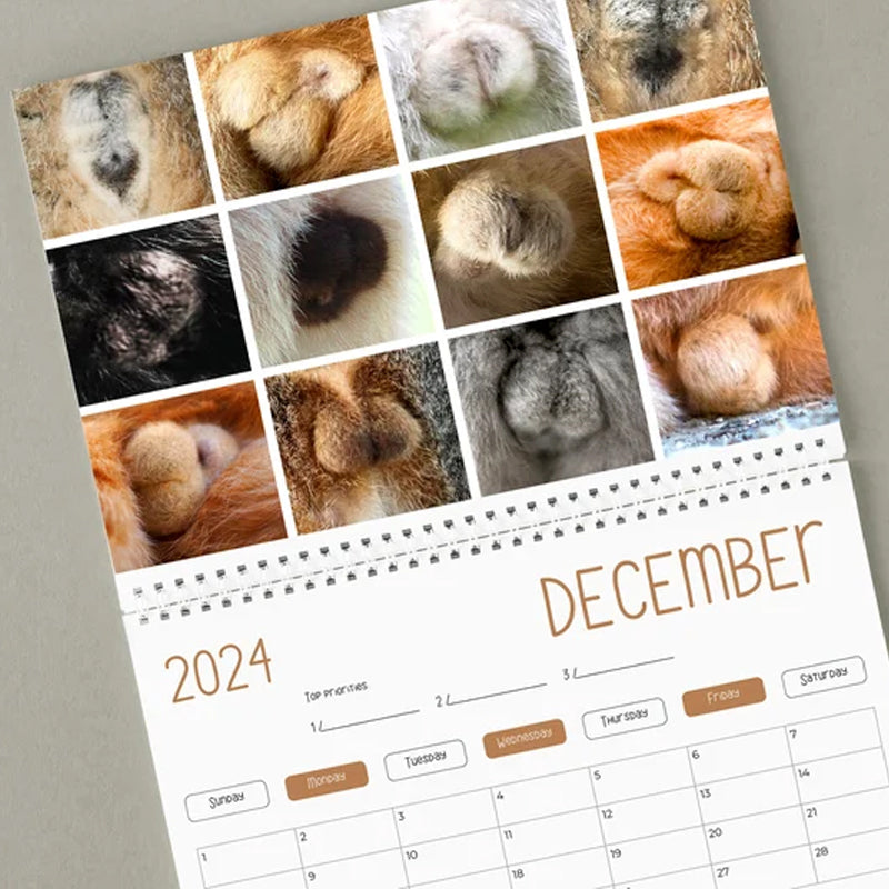 Funniest calendar of the century | Funny Cat Calendar 2024