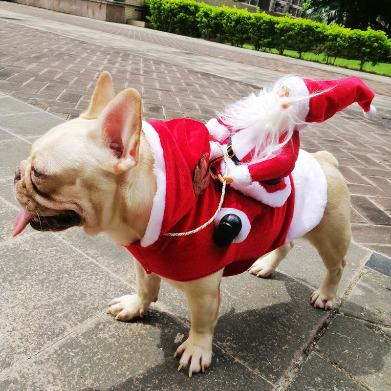 Santa Claus Riding Outfit For Pets