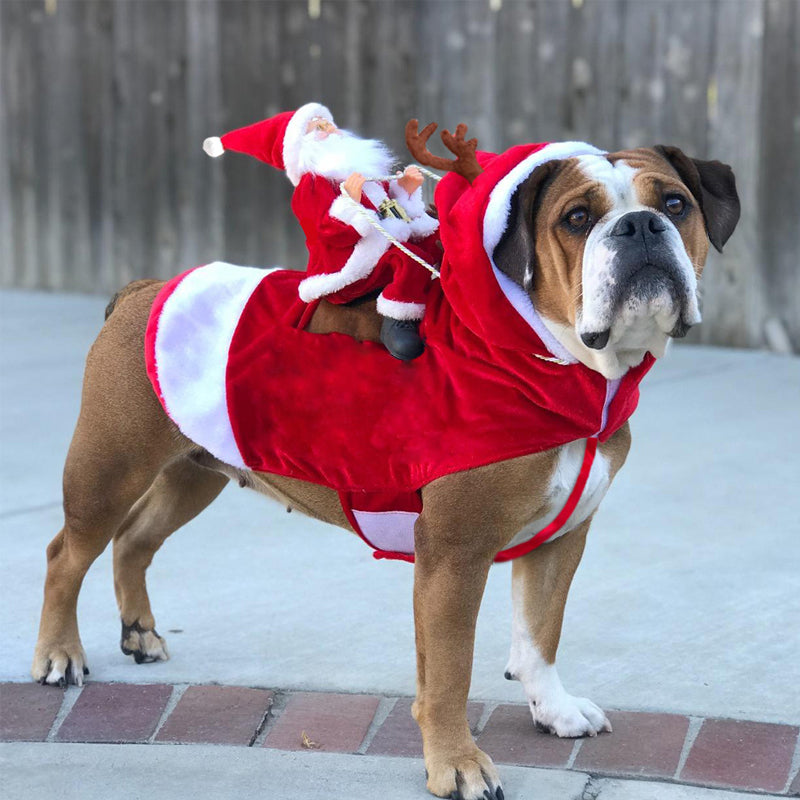 Santa Claus Riding Outfit For Pets